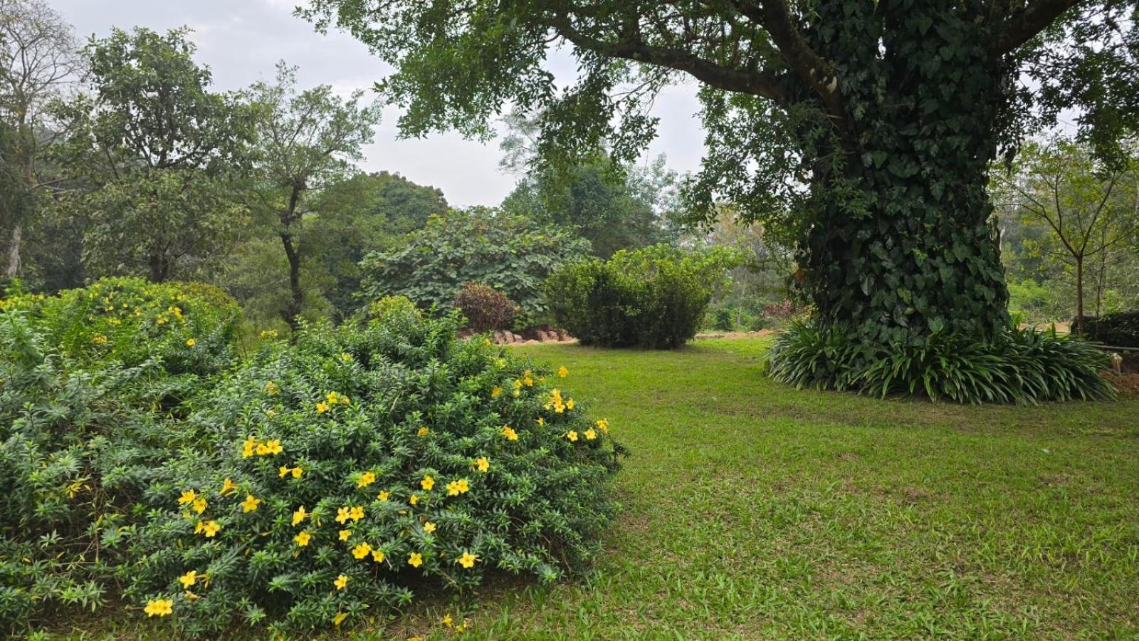 Hotel Highland Estate Sakleshpur Exterior foto