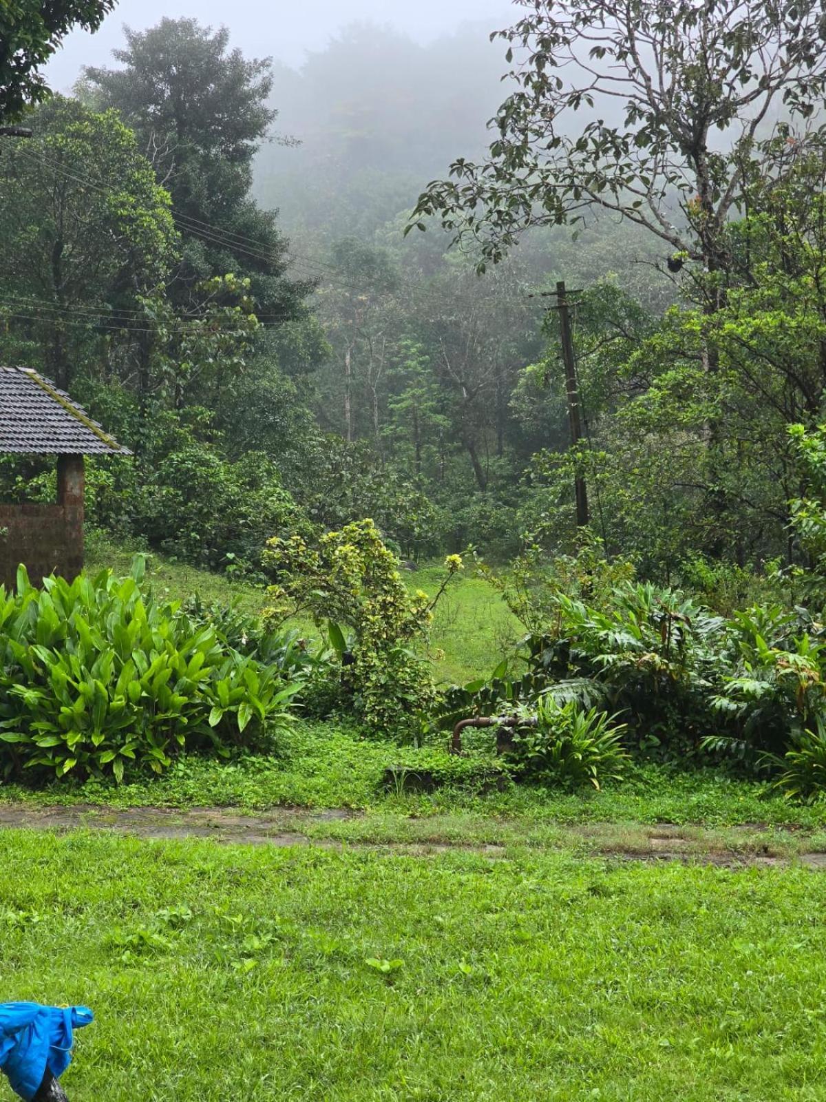 Hotel Highland Estate Sakleshpur Exterior foto